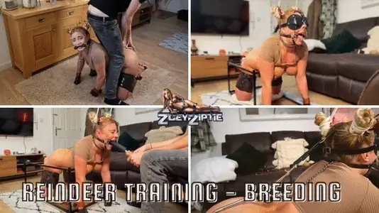Reindeer Training - Breeding Prep, Dildo suck and fuck insemination