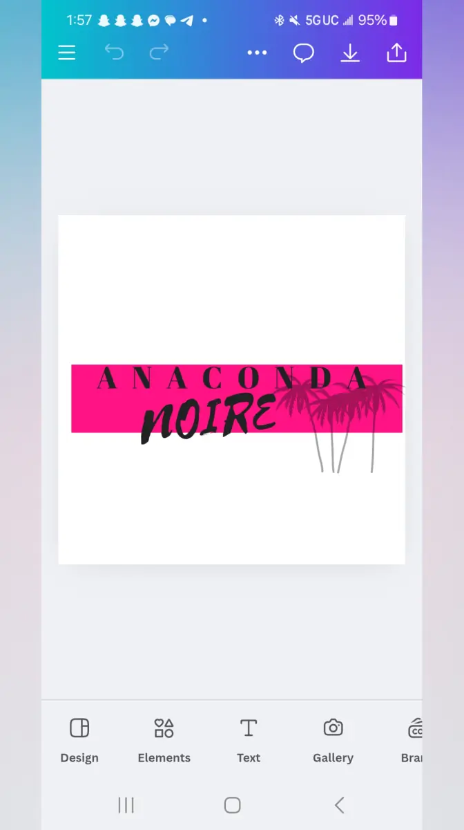 ANACONDA NOIRE cover