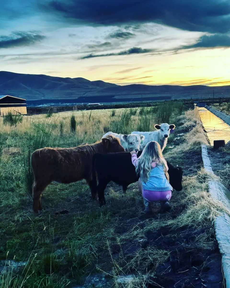 Anika the Farm Wife cover