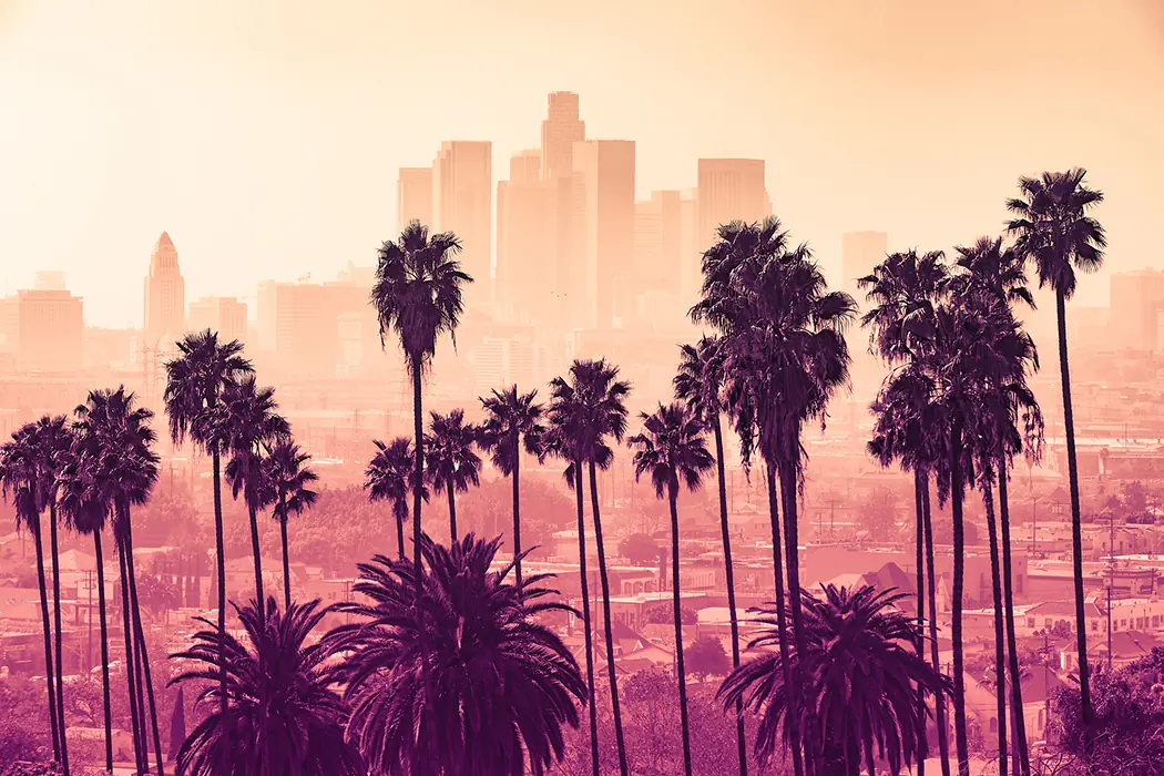 Anna Chase header