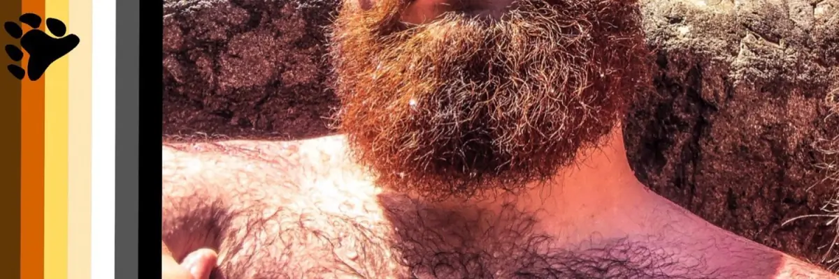 Fuzzy Cub cover