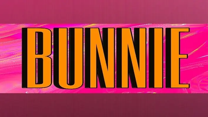Bunnie header