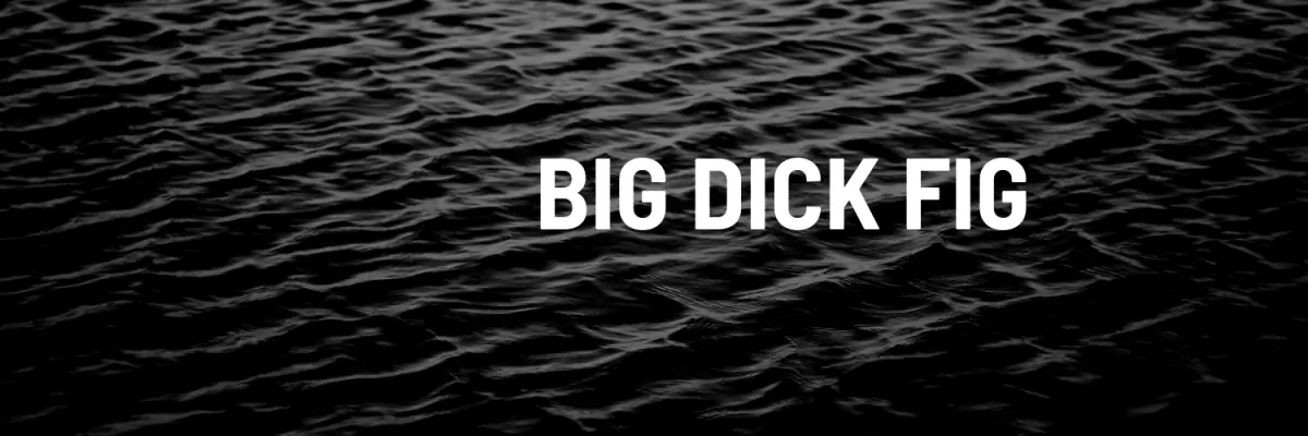 bigdickfig cover