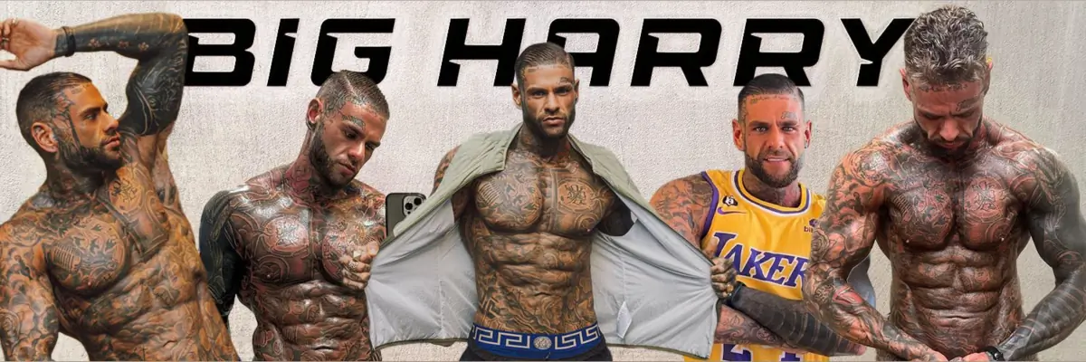 BIG HARRY🤪😈 cover