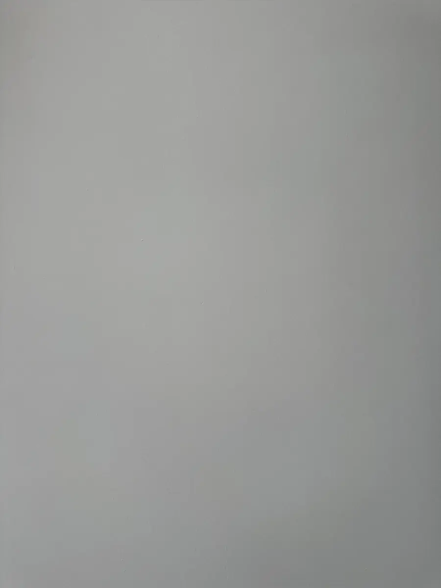 BonnieBeauvip cover