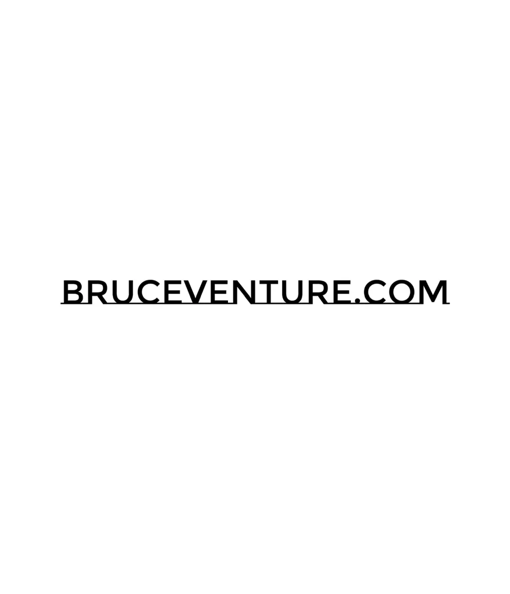 Bruce Venture™ header