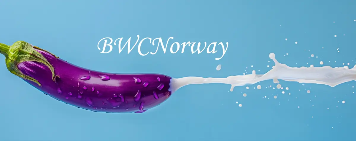 BWCNorway header