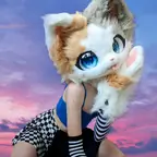 💦 𝐂𝐀𝐓 the FURRY! 😼 avatar