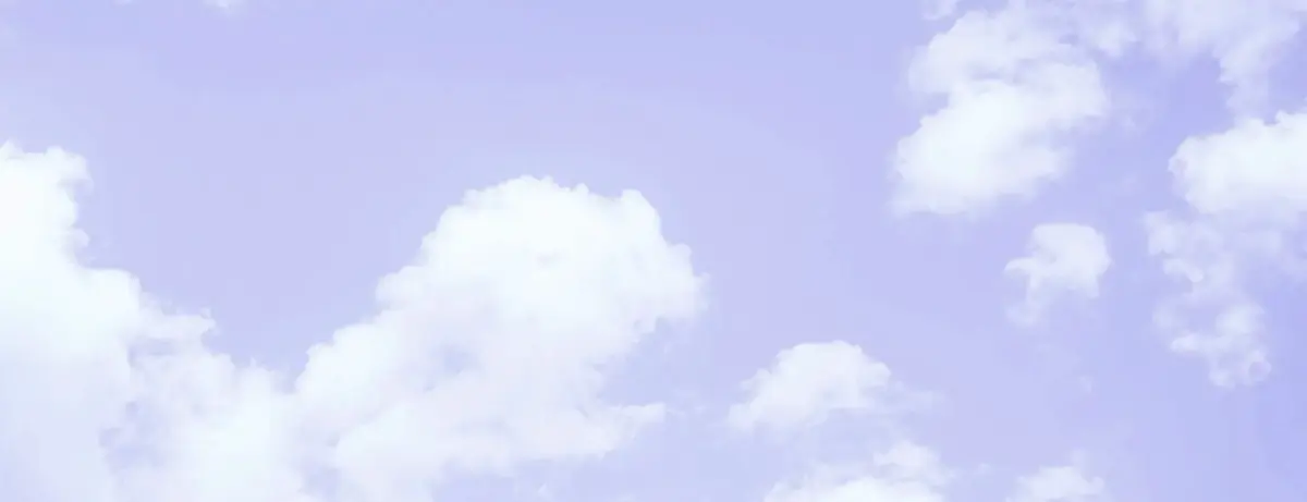 Lady Rani🪻 header