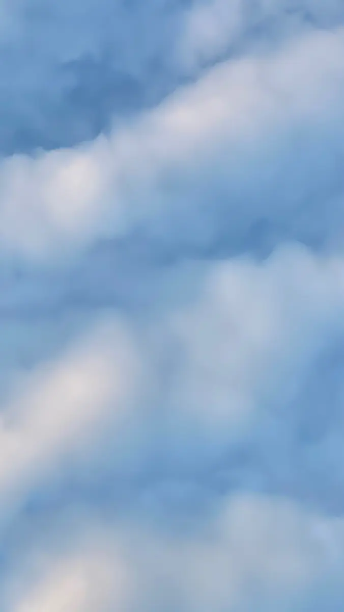 COCONEY header