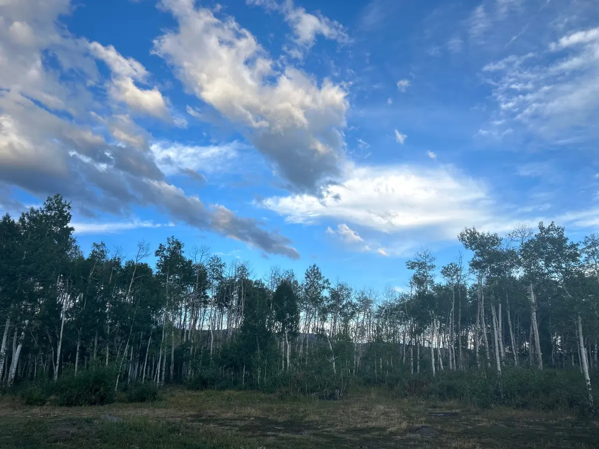 Colorado pineapple header