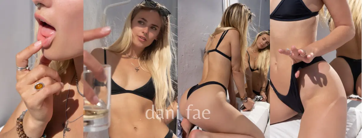 dani fae ☽༓✧*:･ﾟ header