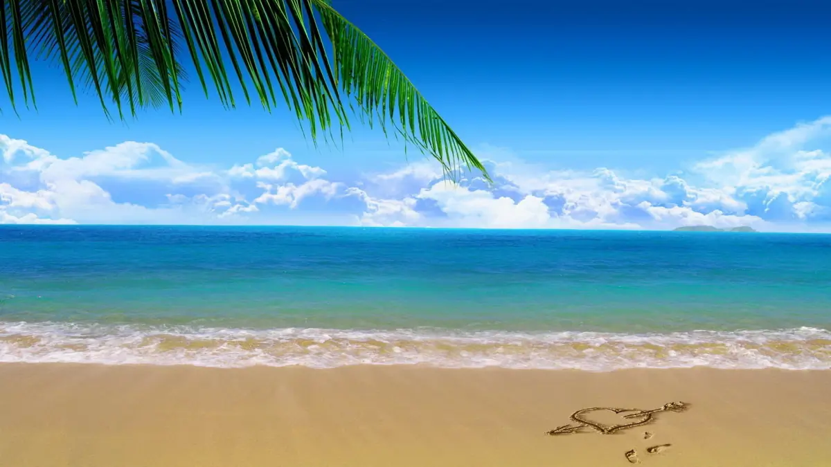 Danni header
