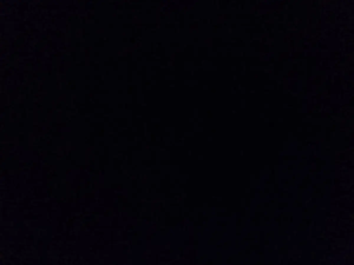 Dav!swrld header