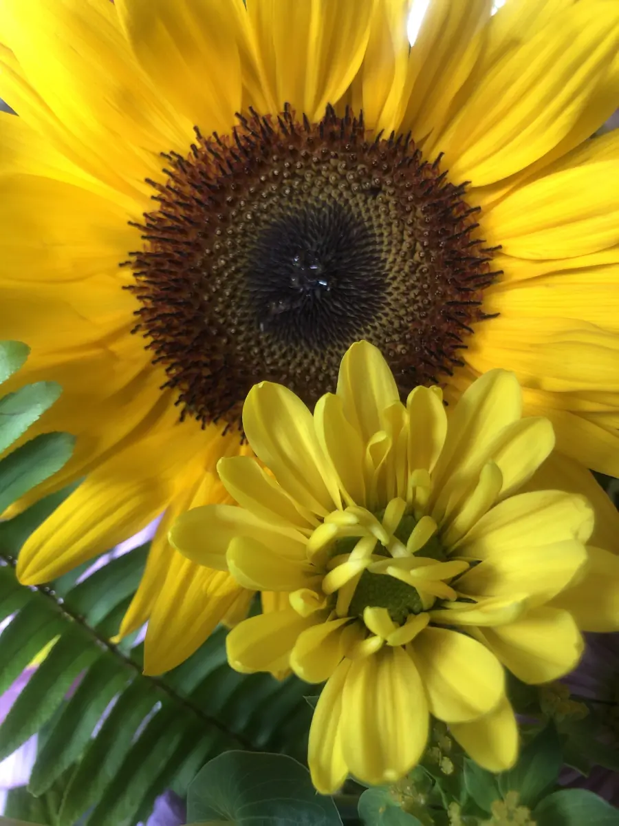digitalprincxss header