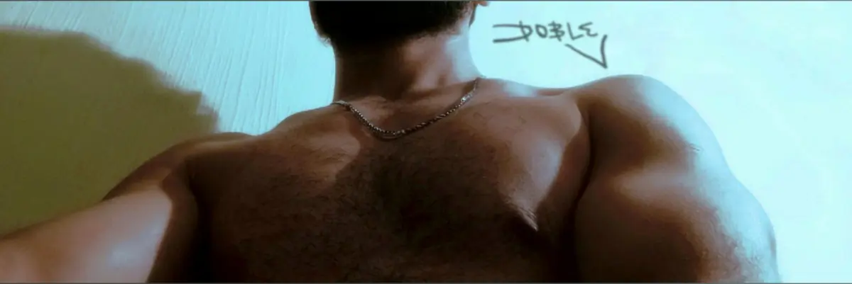 VV | Hairy Mexican Stud cover