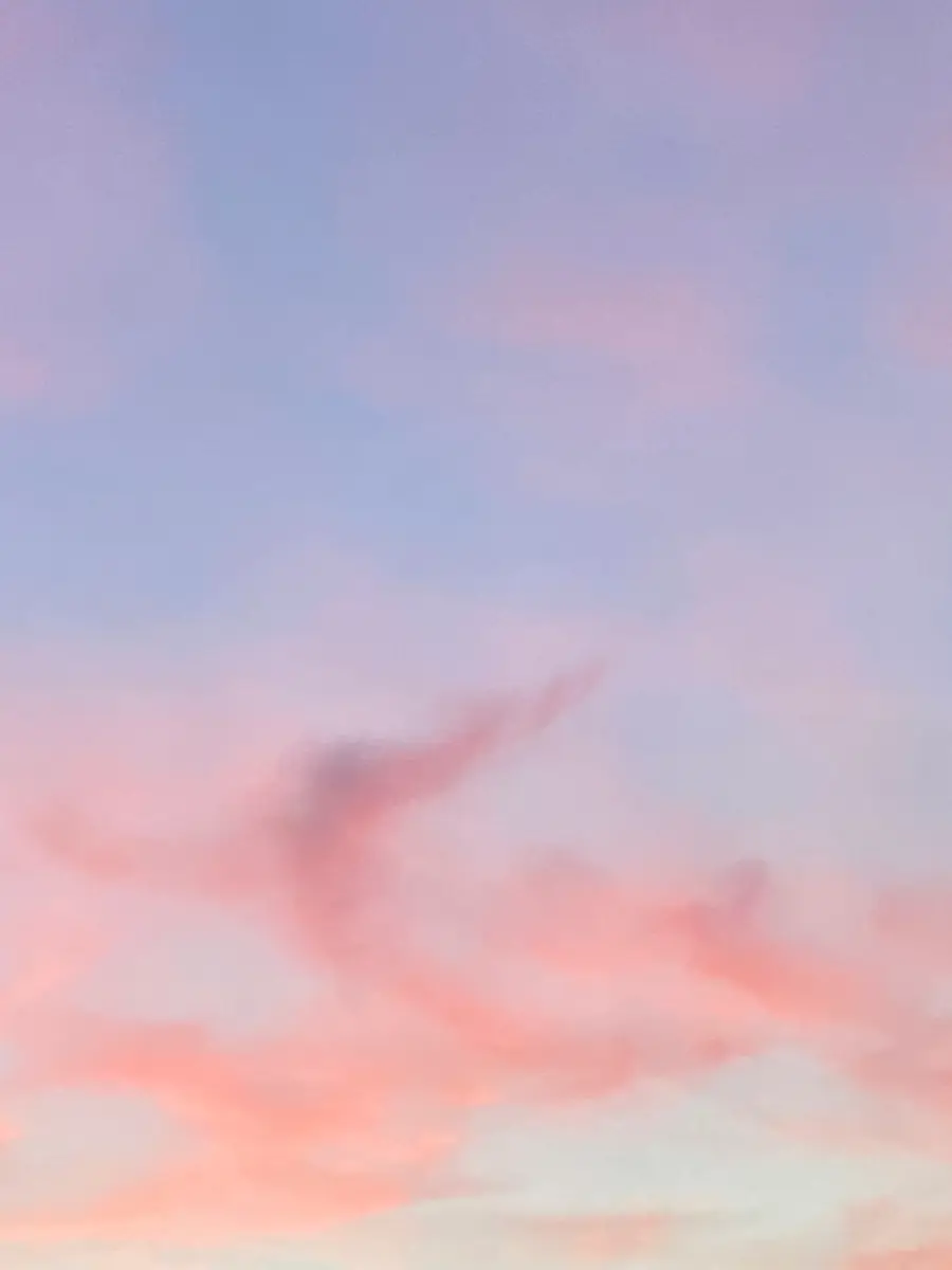 Dreamss header