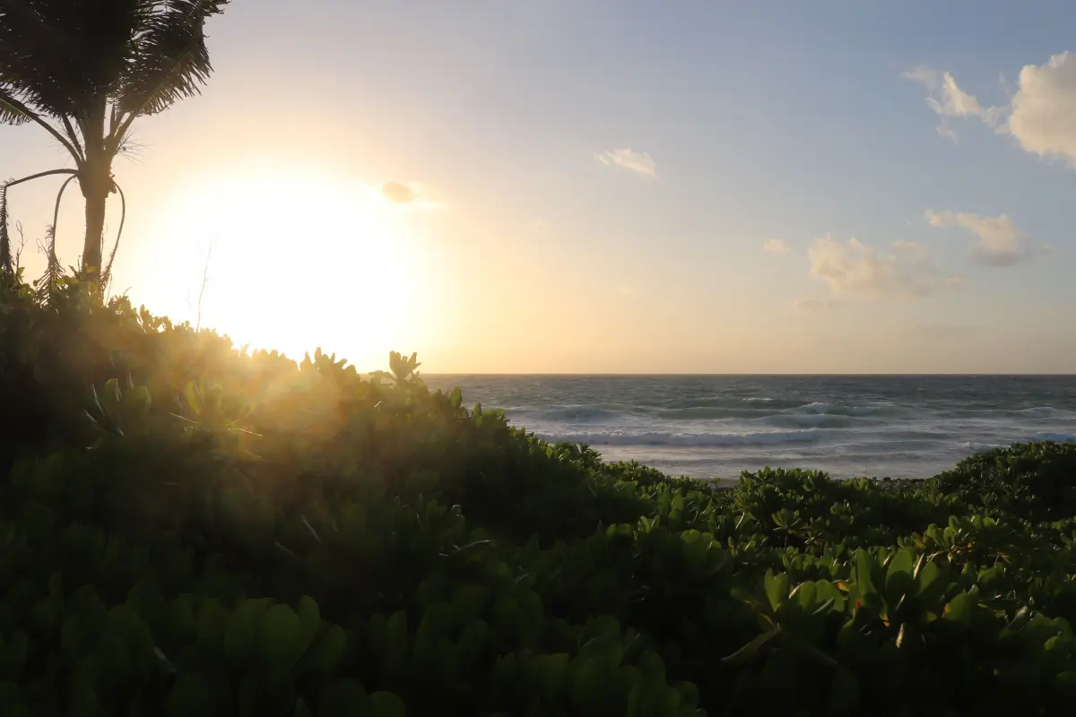 Dream With Jess header