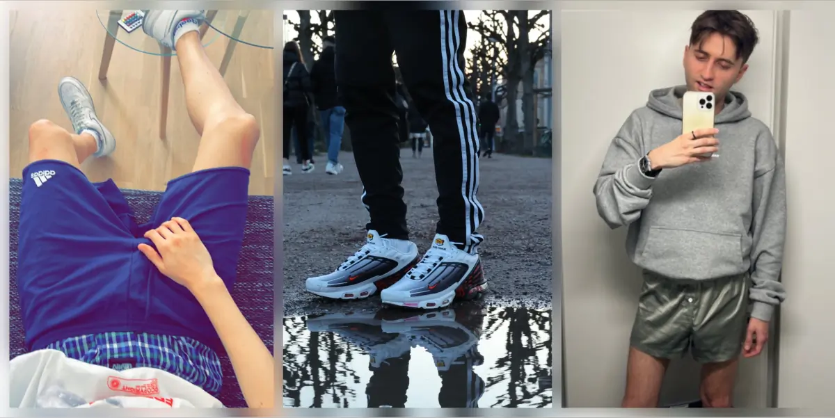 davidailys header