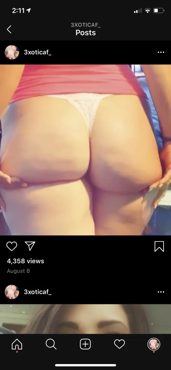 Exotic_booty header