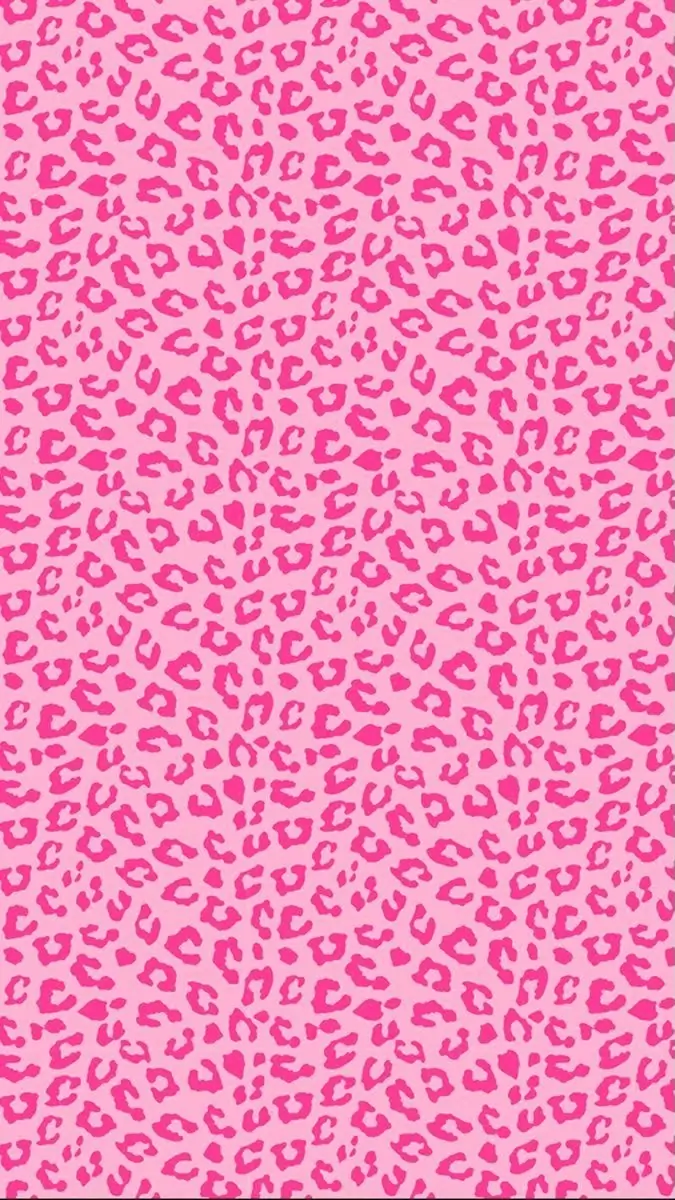 KITTY cover