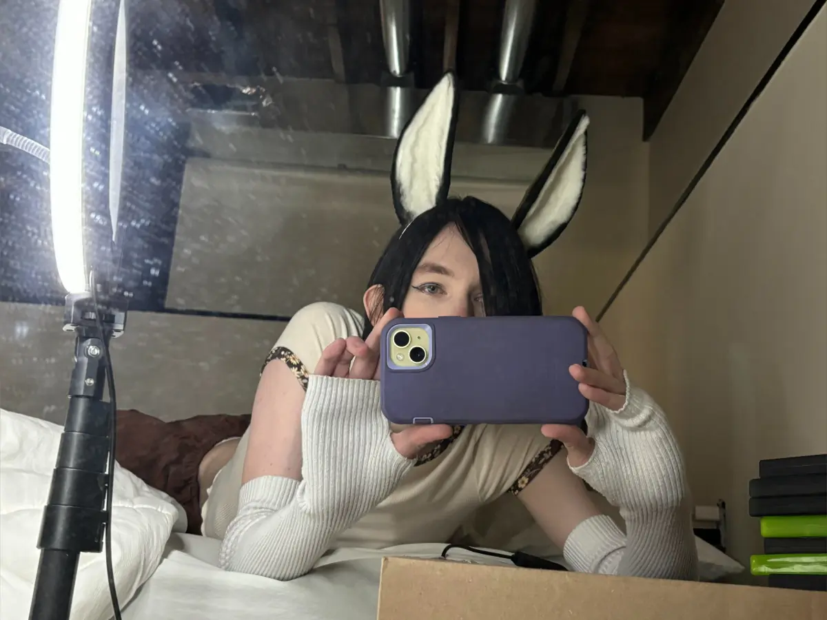 Cherry Blossom cover