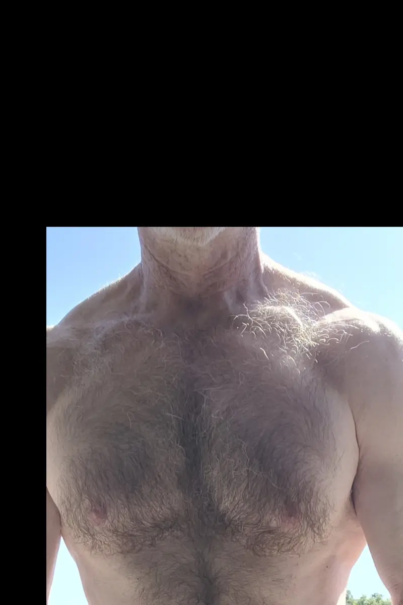 Hairy Daddy cover