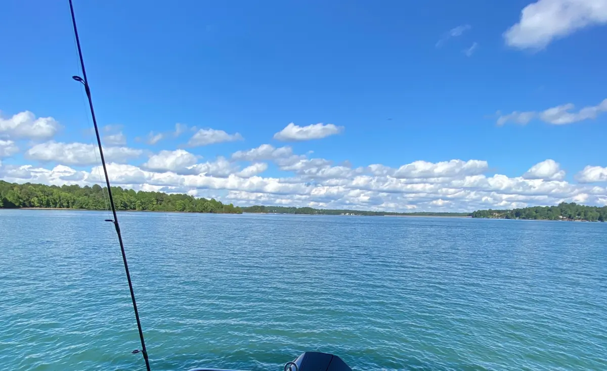 FreckledPegger58 header