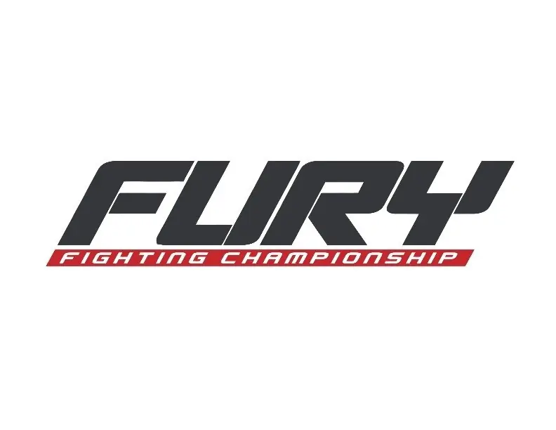 Fury Fighting cover