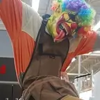Gibby 🤡 avatar