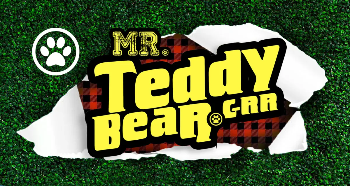 Mr. Teddy Bear cover