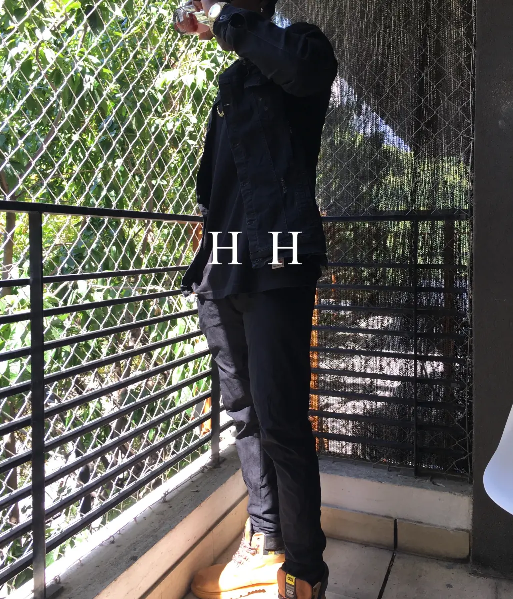 HORNHORSEE cover