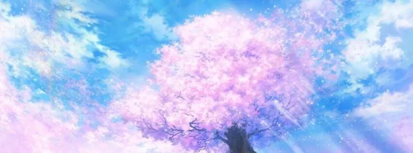 a-mah-nee 🌸 header