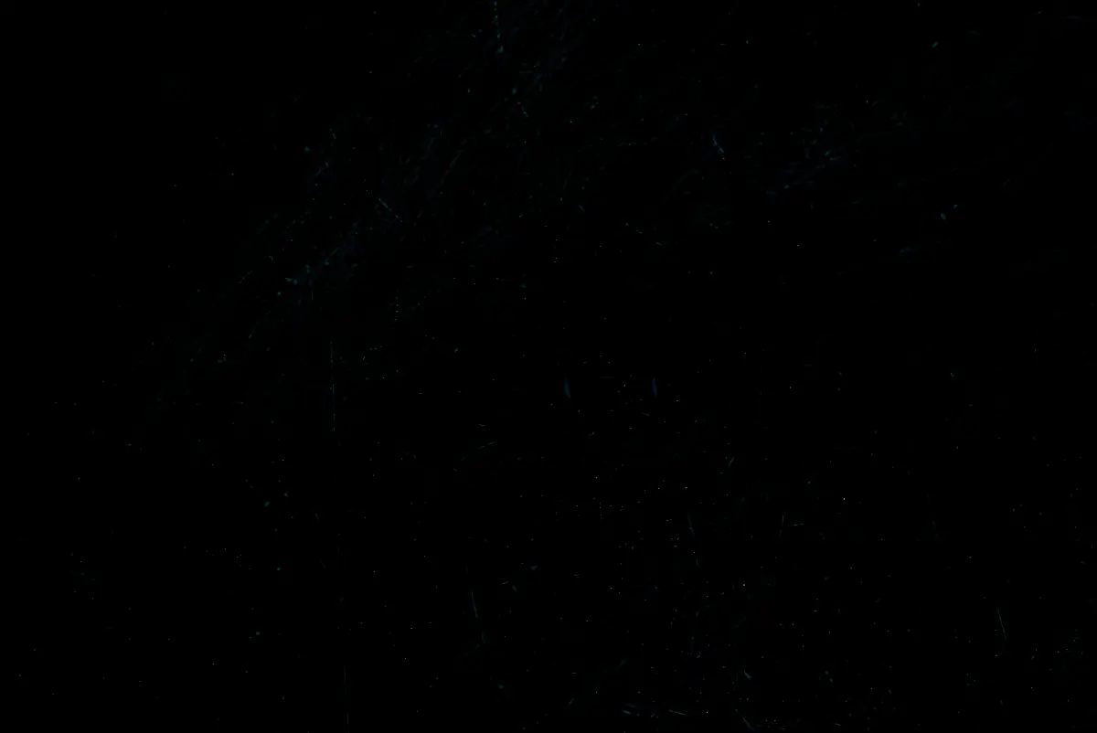 jameliz cover