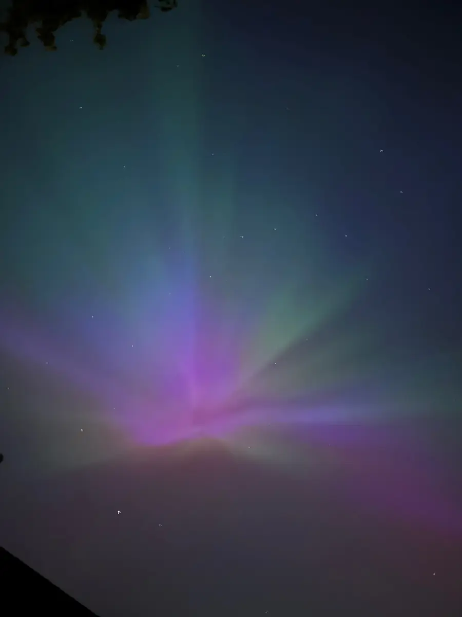 Jay header