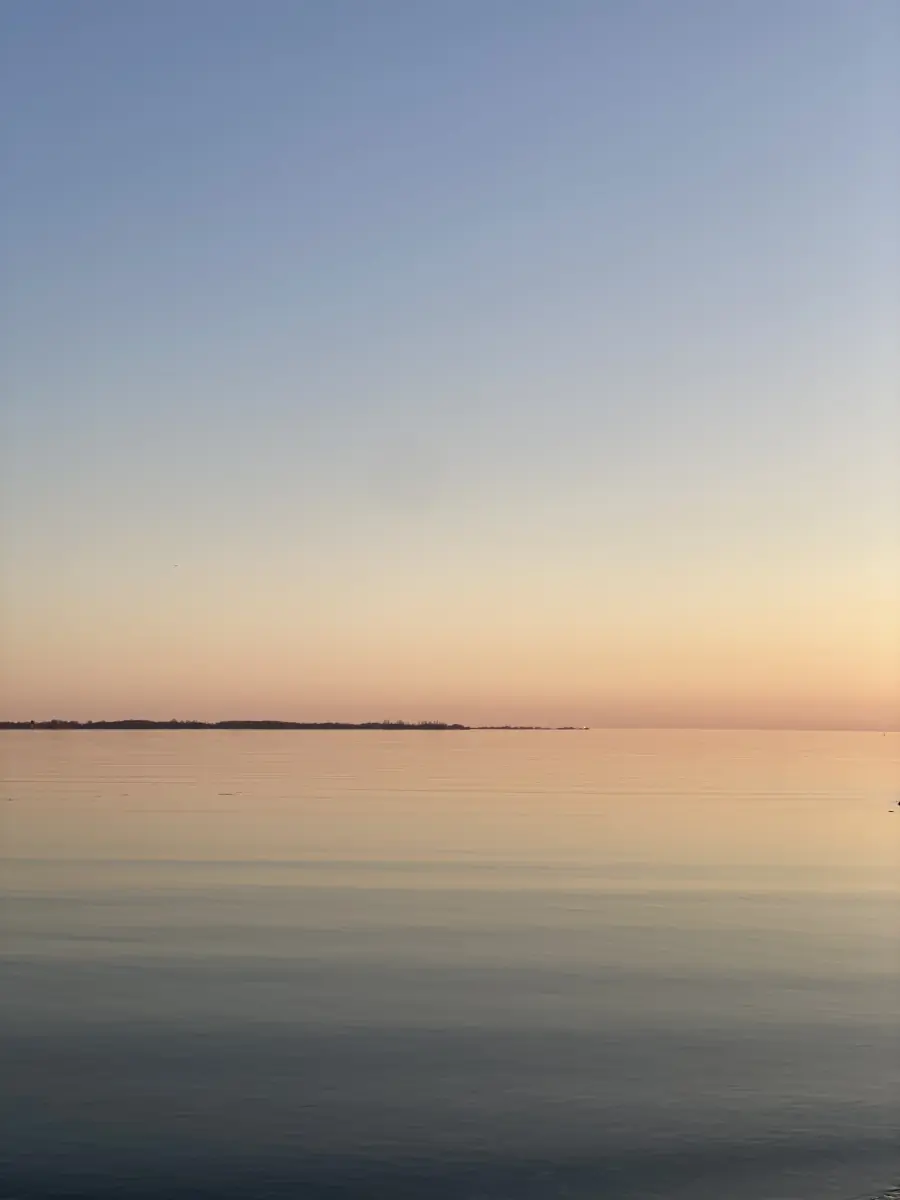 Julia Grace header