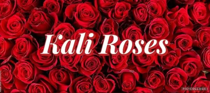 kali roses cover