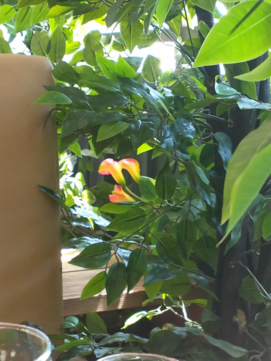 Chocolate_Yoga header