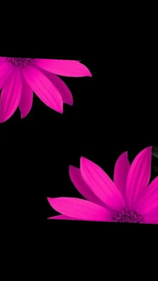KinkLily header