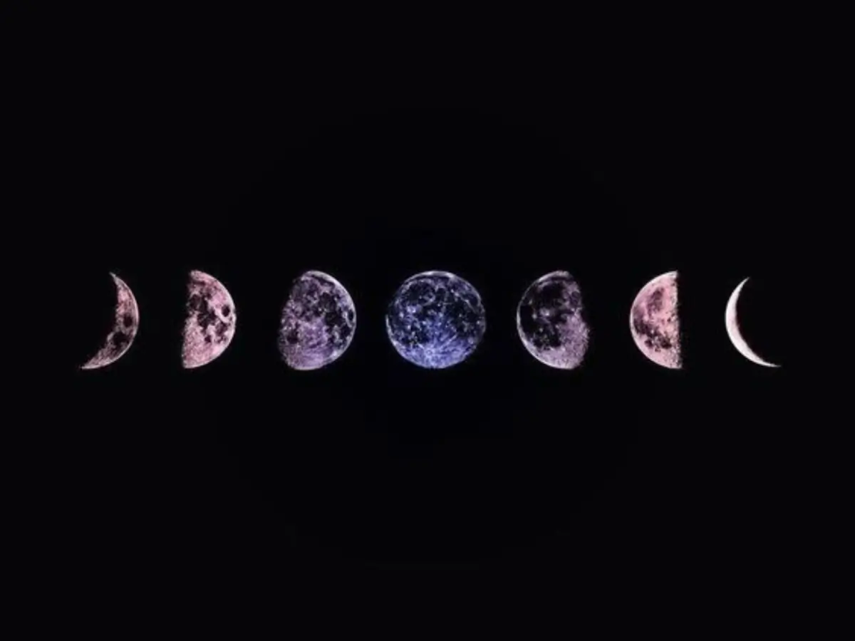 Rosie header