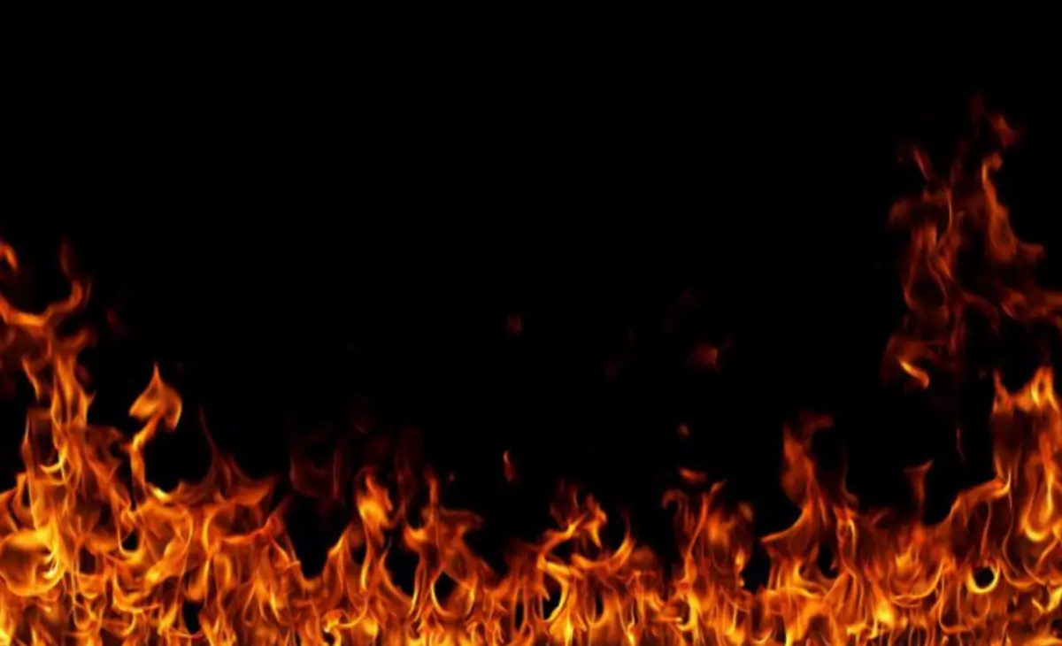 Luli header