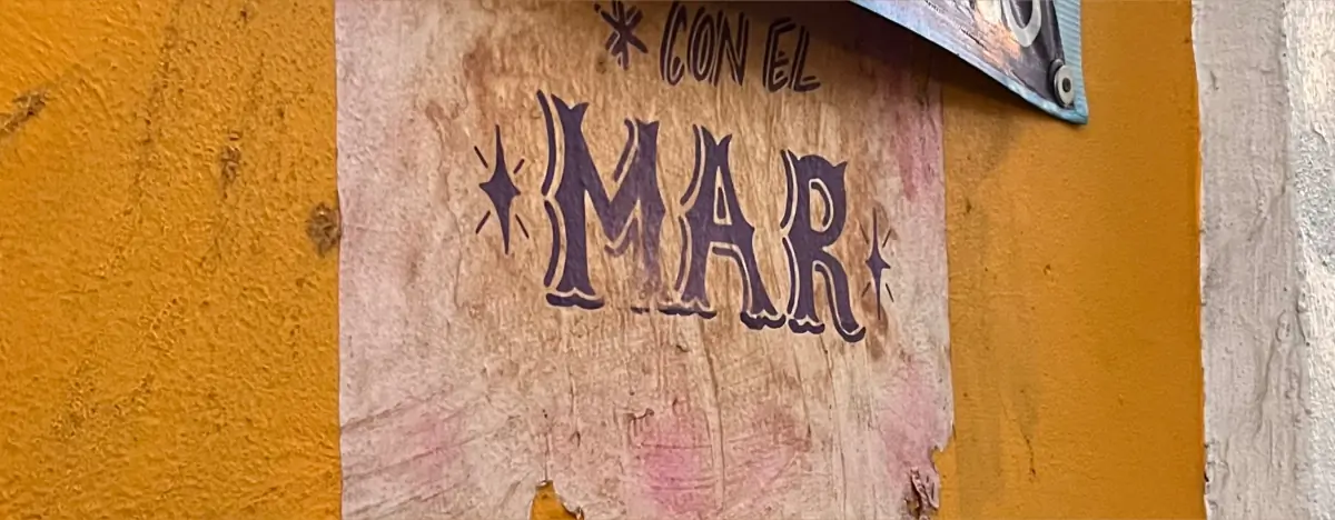 MariposaMar🩷 header
