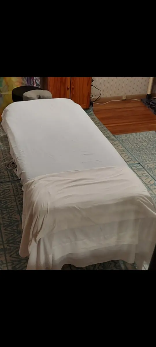 MN Massager cover