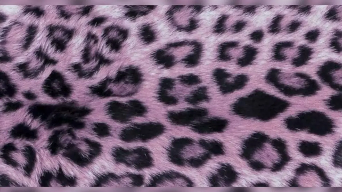 moon ✮ cover