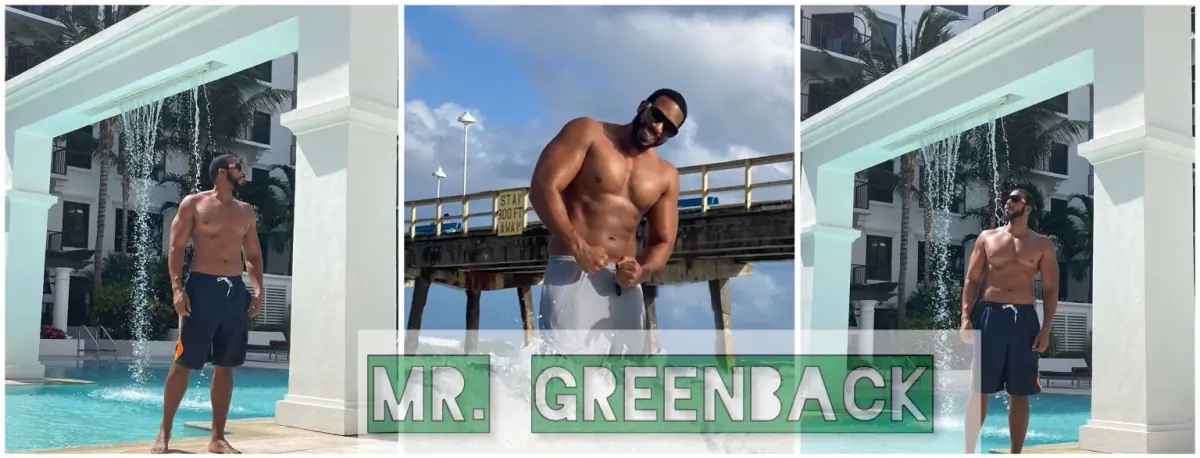 Mr.Greenbacks POV cover