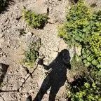 My World My Journey avatar