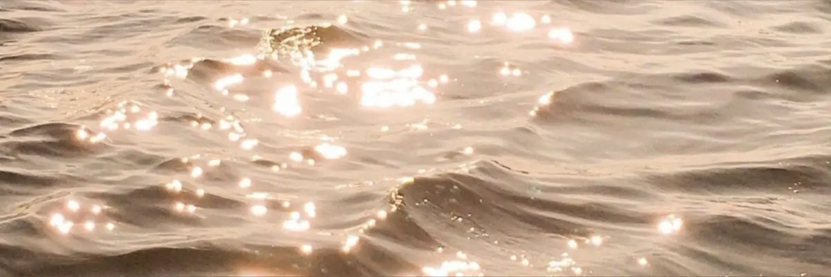 Melanie Rose 🌹 header