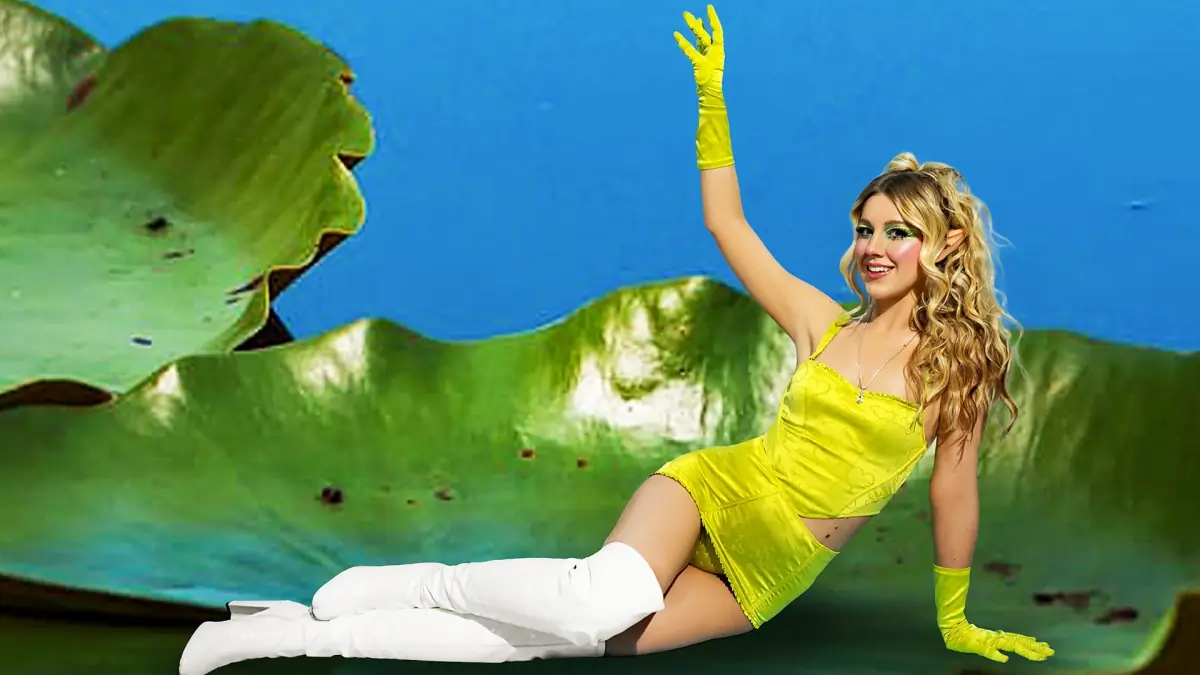 Nikki header
