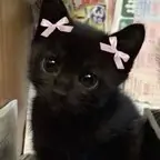 naomi avatar