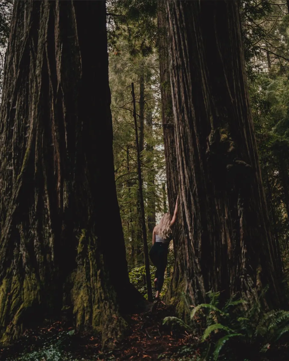 Natalie header